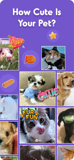 App screenshot 1