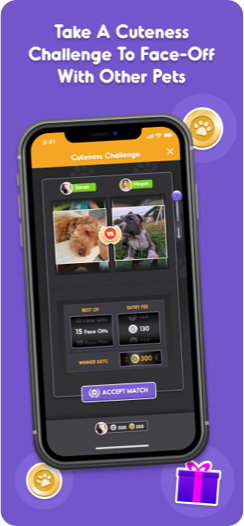 App screenshot 5