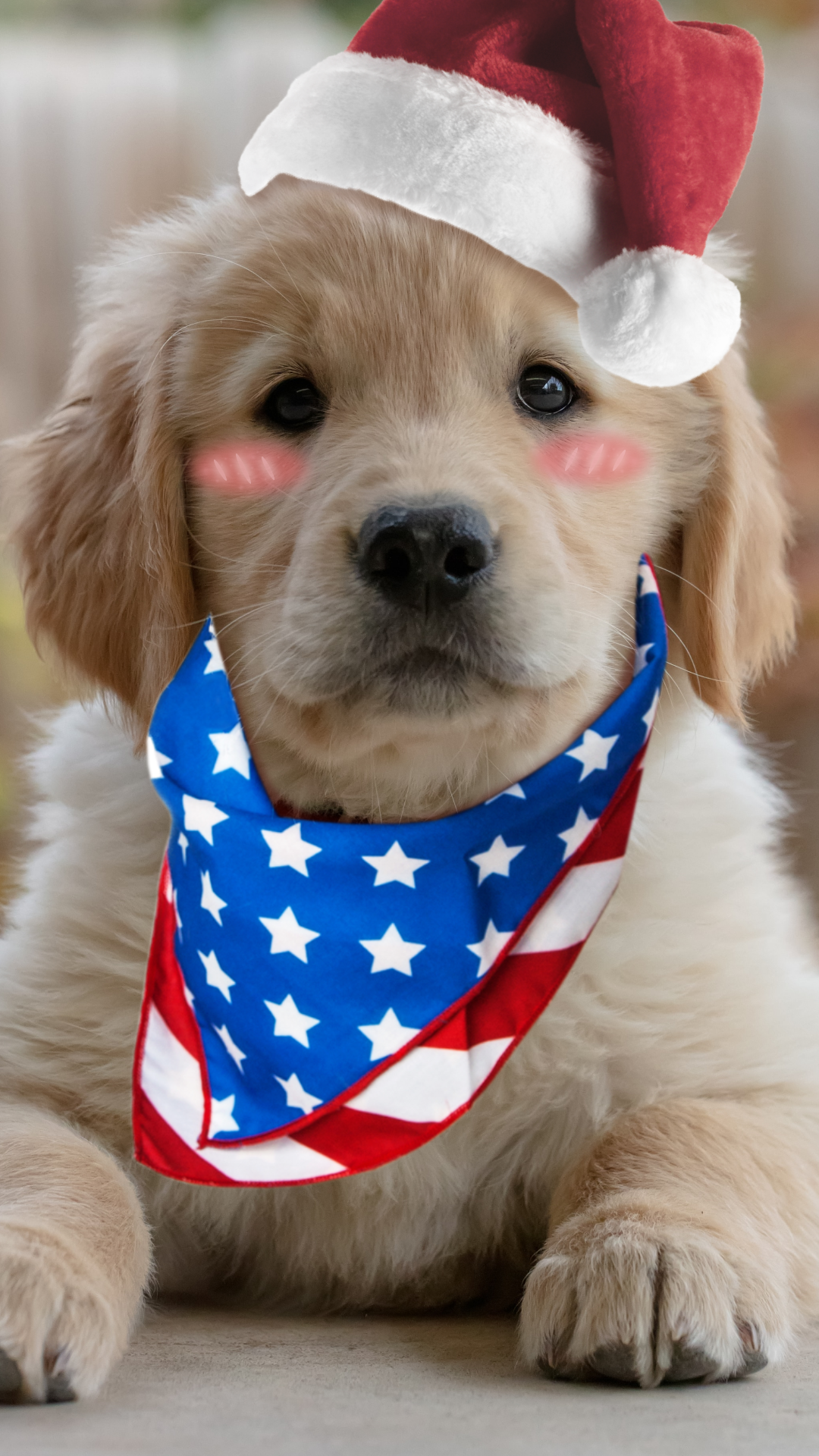Pet dress-up sticker