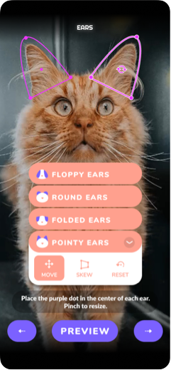 Editor screen
