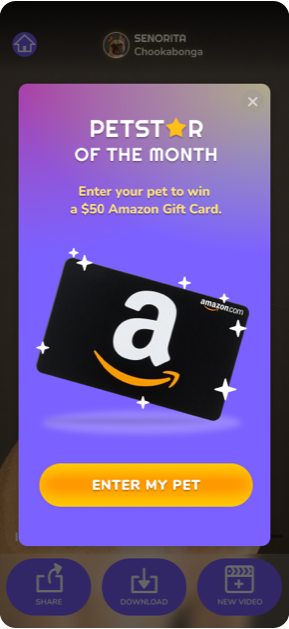 PetStar onboarding